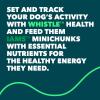 imageIAMS Adult Minichunks Small Kibble Dry Dog Food Chicken 15 lb Bag  Whistle Health Smart Device  Dog Health and Fitness Tracker