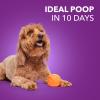imageIAMS Advanced Health Healthy Digestion Adult Dry Dog Food with Real Chicken 6 lb BagChicken
