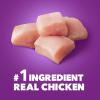 imageIAMS Advanced Health Healthy Digestion Adult Dry Dog Food with Real Chicken 6 lb BagChicken