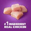 imageIAMS Advanced Health Healthy Digestion Adult Dry Dog Food with Real Chicken 6 lb BagChicken