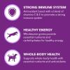 imageIAMS Advanced Health Immune Health Adult Dry Dog Food Chicken ampamp Exclusive Superfoods Medley Recipe 6 lb BagChicken