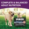 imageIAMS Advanced Health Mobility Support Chicken and Whole Grain Recipe Adult Dry Dog Food 36 lb BagChicken