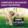 imageIAMS Advanced Health Mobility Support Chicken and Whole Grain Recipe Adult Dry Dog Food 36 lb BagChicken