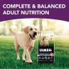 imageIAMS Advanced Health Mobility Support Chicken and Whole Grain Recipe Adult Dry Dog Food 36 lb BagChicken