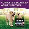 imageIAMS Advanced Health Mobility Support Chicken and Whole Grain Recipe Adult Dry Dog Food 36 lb BagChicken