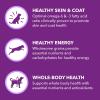 imageIAMS Advanced Health Skin ampamp Coat Adult Dry Dog Food Chicken and Salmon Recipe 135 lb BagChicken  Salmon