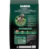 imageIAMS Advanced Health Skin ampamp Coat Adult Dry Dog Food Chicken and Salmon Recipe 135 lb BagChicken  Salmon