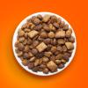 imageIAMS Healthy Enjoyment Dry Cat Food Chicken ampamp Beef Recipe 15 lb BagChicken  Beef