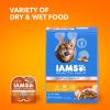 imageIAMS Healthy Enjoyment Dry Cat Food Chicken ampamp Beef Recipe 15 lb BagChicken  Salmon
