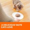 imageIAMS Perfect Portions Healthy Kitten Grain Free Wet Cat Food Pate Chicken Recipe 26 oz Easy Peel TwinPack Trays 24 Count 48 ServingsChicken