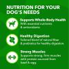 imageIAMS Proactive Health Adult Dry Dog Food Beef and Rice Recipe 7 lb BagBeef  Rice