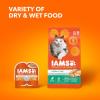 imageIAMS Proactive Health Adult Hairball Care Dry Cat Food with Chicken and Salmon 7 lb BagChicken  Salmon