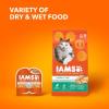 imageIAMS Proactive Health Adult Hairball Care Dry Cat Food with Chicken and Salmon 7 lb BagChicken  Salmon