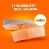 imageIAMS Proactive Health Adult Healthy Dry Cat Food with Chicken 22 lb BagSalmon