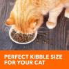 imageIAMS Proactive Health Adult Healthy Dry Cat Food with Chicken 22 lb BagSalmon