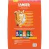 imageIAMS Proactive Health Adult Healthy Dry Cat Food with Chicken 22 lb BagSalmon