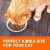 imageIAMS Proactive Health Adult Healthy Dry Cat Food with Chicken 22 lb BagSalmon