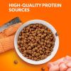 imageIAMS Proactive Health Adult Healthy Dry Cat Food with Chicken 22 lb BagSalmon