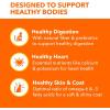 imageIAMS Proactive Health Adult Healthy Dry Cat Food with Chicken 22 lb BagSalmon