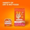 imageIAMS Proactive Health Adult Healthy Dry Cat Food with Chicken 22 lb BagSalmon
