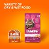 imageIAMS Proactive Health Adult Urinary Tract Healthy Dry Cat Food with Chicken 22 lb BagChicken