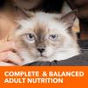 imageIAMS Proactive Health Adult Urinary Tract Healthy Dry Cat Food with Chicken 22 lb BagChicken