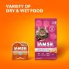 imageIAMS Proactive Health Adult Urinary Tract Healthy Dry Cat Food with Chicken 22 lb BagChicken