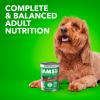 imageIAMS Proactive Health Adult Wet Dog Food Chicken Chunks in Gravy or Beef Chunks in Gravy 13 oz Cans 12 Count Pack of 1Lamb