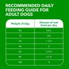 imageIAMS Proactive Health Adult Wet Dog Food Classic Ground with Chicken and Rice 13 oz Cans 6 Count Pack of 1Beef  Rice