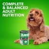 imageIAMS Proactive Health Adult Wet Dog Food Classic Ground with Chicken and Rice 13 oz Cans 6 Count Pack of 1Beef  Rice