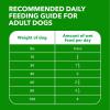 imageIAMS Proactive Health Adult Wet Dog Food Classic Ground with Chicken and Rice 13 oz Cans 6 Count Pack of 1Lamb  Rice