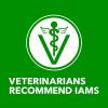imageIAMS Proactive Health Adult Wet Dog Food Classic Ground with Chicken and Rice 13 oz Cans 6 Count Pack of 1Lamb  Rice