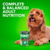 imageIAMS Proactive Health Adult Wet Dog Food Classic Ground with Chicken and Rice 13 oz Cans 6 Count Pack of 1Lamb  Rice