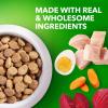imageIAMS Proactive Health Healthy Aging Large Breed Dog Food for Mature and Senior Dogs with Real Chicken 15 lb BagChicken