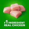 imageIAMS Proactive Health Healthy Aging Large Breed Dog Food for Mature and Senior Dogs with Real Chicken 15 lb BagChicken