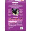 imageIAMS Proactive Health Healthy Aging Large Breed Dog Food for Mature and Senior Dogs with Real Chicken 15 lb BagChicken
