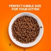 imageIAMS Proactive Health Healthy Kitten Dry Cat Food with Chicken 16 lb BagChicken