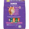 imageIAMS Proactive Health Healthy Kitten Dry Cat Food with Chicken 16 lb BagChicken
