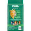 imageIAMS Proactive Health Healthy Senior Dry Cat Food with Chicken 16 lb BagChicken