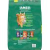 imageIAMS Proactive Health Healthy Senior Dry Cat Food with Chicken 16 lb BagChicken