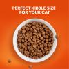 imageIAMS Proactive Health Healthy Senior Dry Cat Food with Chicken 16 lb BagChicken