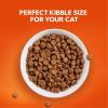 imageIAMS Proactive Health Healthy Senior Dry Cat Food with Chicken 16 lb BagChicken