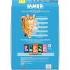 imageIAMS Proactive Health Healthy Weight Adult Dry Cat Food Chicken Flavor 22 lb BagChicken