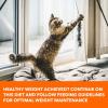 imageIAMS Proactive Health Healthy Weight Adult Dry Cat Food Chicken Flavor 22 lb BagChicken