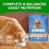 imageIAMS Proactive Health Healthy Weight Control Adult Dry Dog Food with Real Chicken 7 lb BagChicken