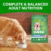 imageIAMS Proactive Health Large Breed Adult Dry Dog Food Lamb ampamp Rice Recipe 30 lb BagChicken  Rice
