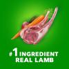 imageIAMS Proactive Health Large Breed Adult Dry Dog Food Lamb ampamp Rice Recipe 30 lb BagLamb  Rice
