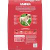 imageIAMS Proactive Health Large Breed Adult Dry Dog Food Lamb ampamp Rice Recipe 30 lb BagLamb  Rice