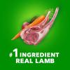 imageIAMS Proactive Health Large Breed Adult Dry Dog Food Lamb ampamp Rice Recipe 30 lb BagLamb  Rice