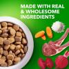 imageIAMS Proactive Health Large Breed Adult Dry Dog Food Lamb ampamp Rice Recipe 30 lb BagLamb  Rice